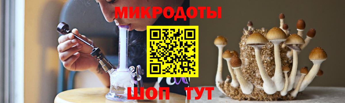 Псилоцибиновые грибы Magic Shrooms Северобайкальск